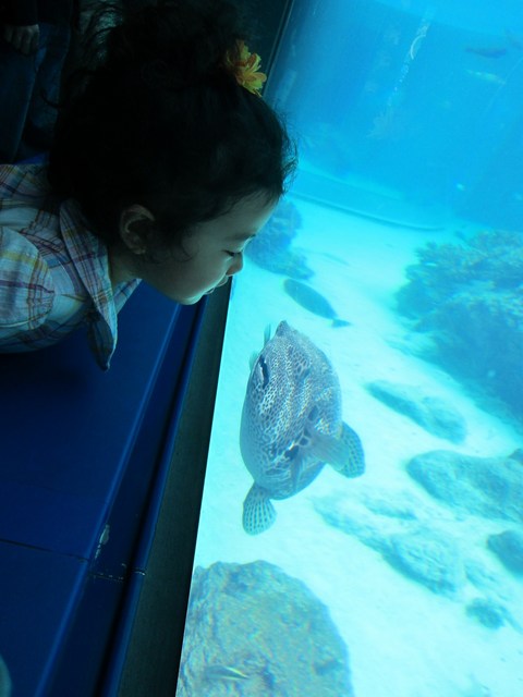 121109_104845_Canon IXY 32S_IMG_2227-r.jpg