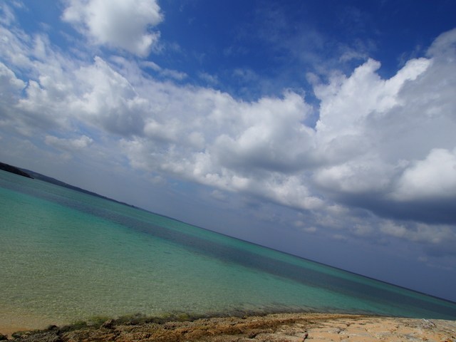 121110_110033_E-M5_PB100392-r.jpg