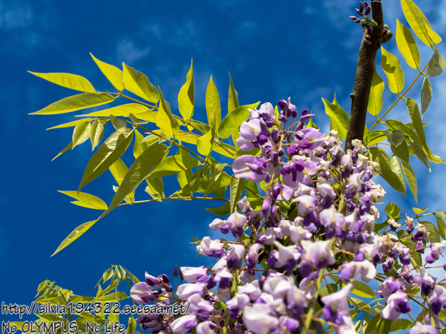 150504_160934_P5040221_Original_E-M5_LR5_blog.jpg