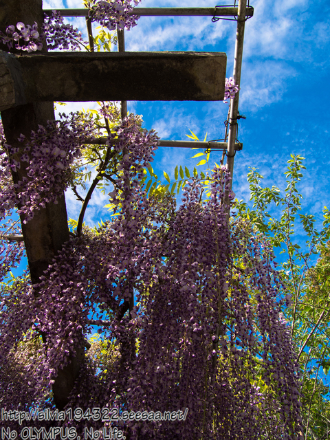 150504_162412_P5040286_Original_E-M5_LR5_blog.jpg
