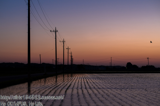150522_190702_IMGP1666_Original_PENTAX K-30_LR5_blog.jpg