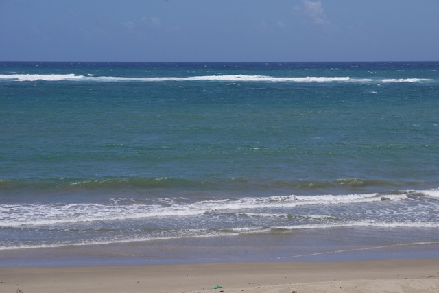 IMGP2692_R.JPG