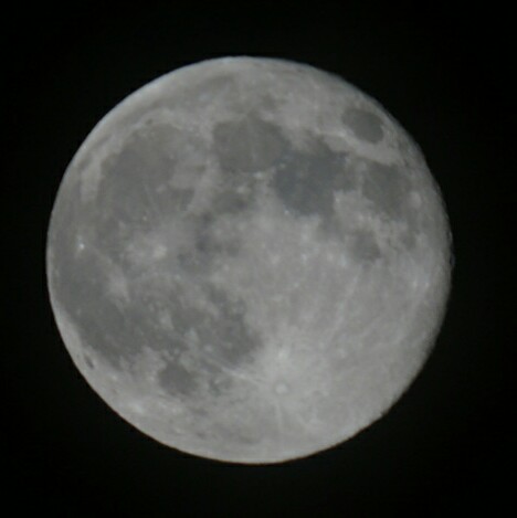DSC00222~01.jpg